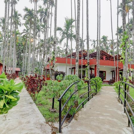 Ezzenza Areca Resort マディケーリ エクステリア 写真