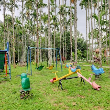 Ezzenza Areca Resort マディケーリ エクステリア 写真