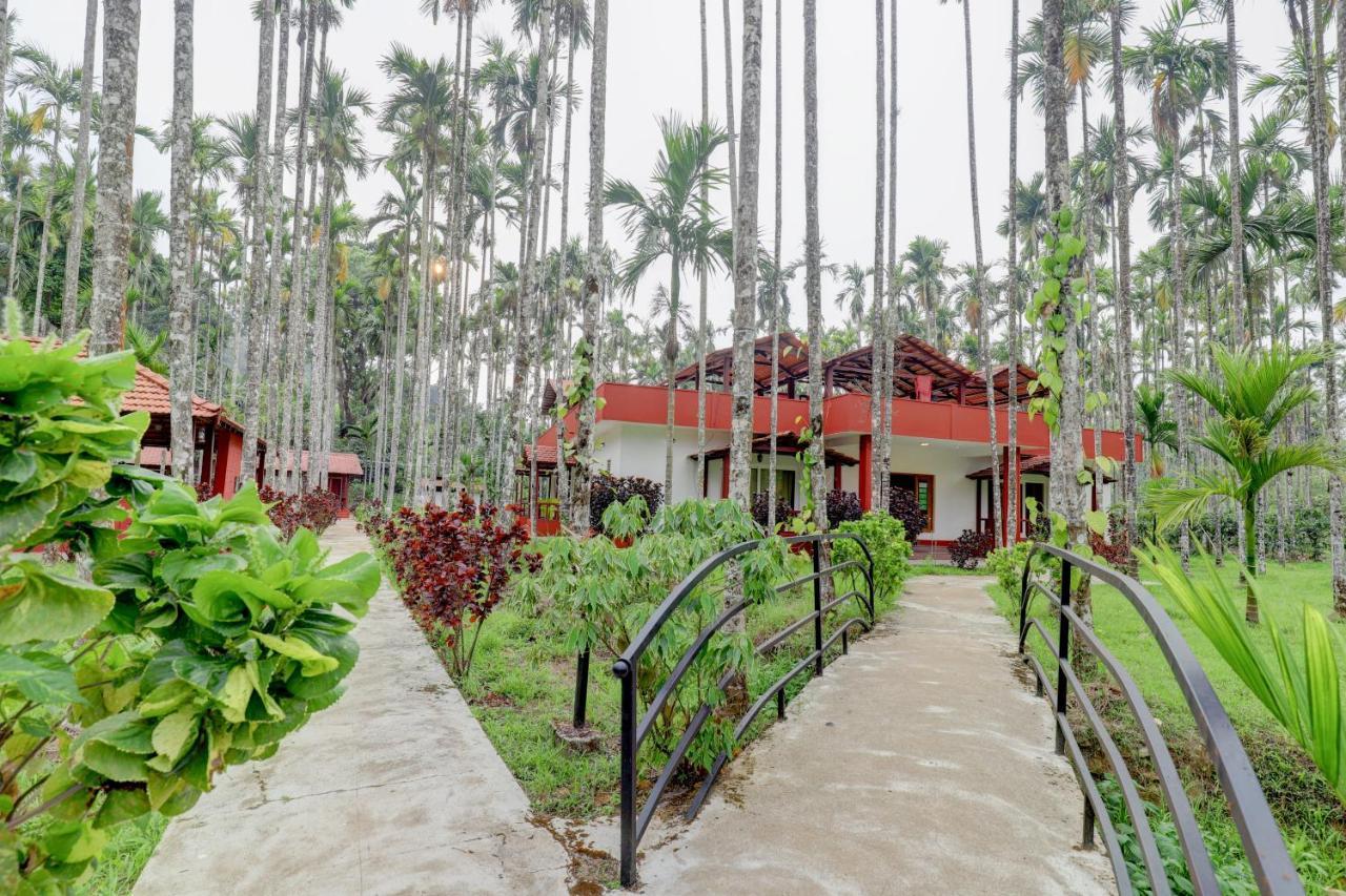 Ezzenza Areca Resort マディケーリ エクステリア 写真