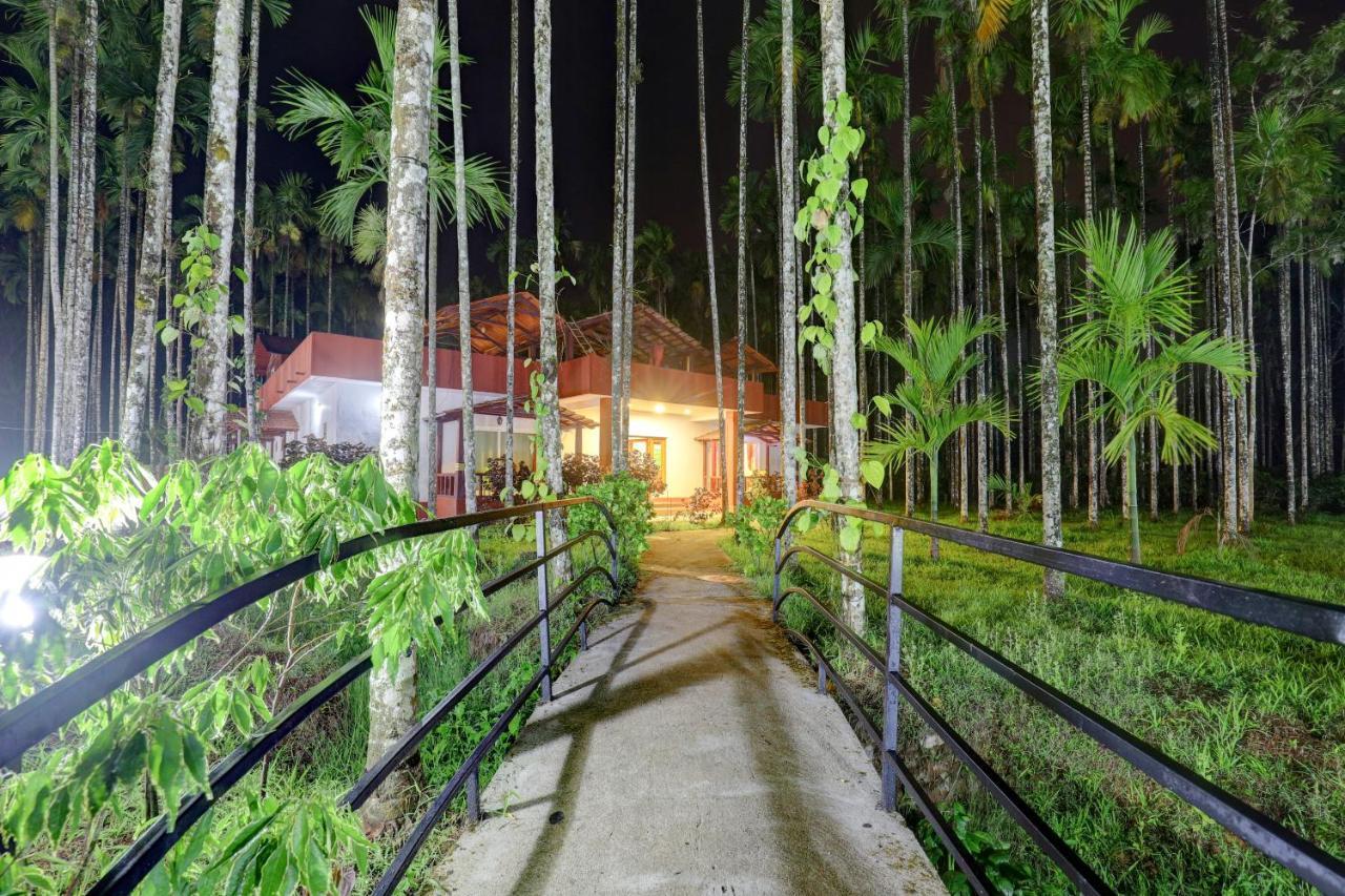 Ezzenza Areca Resort マディケーリ エクステリア 写真