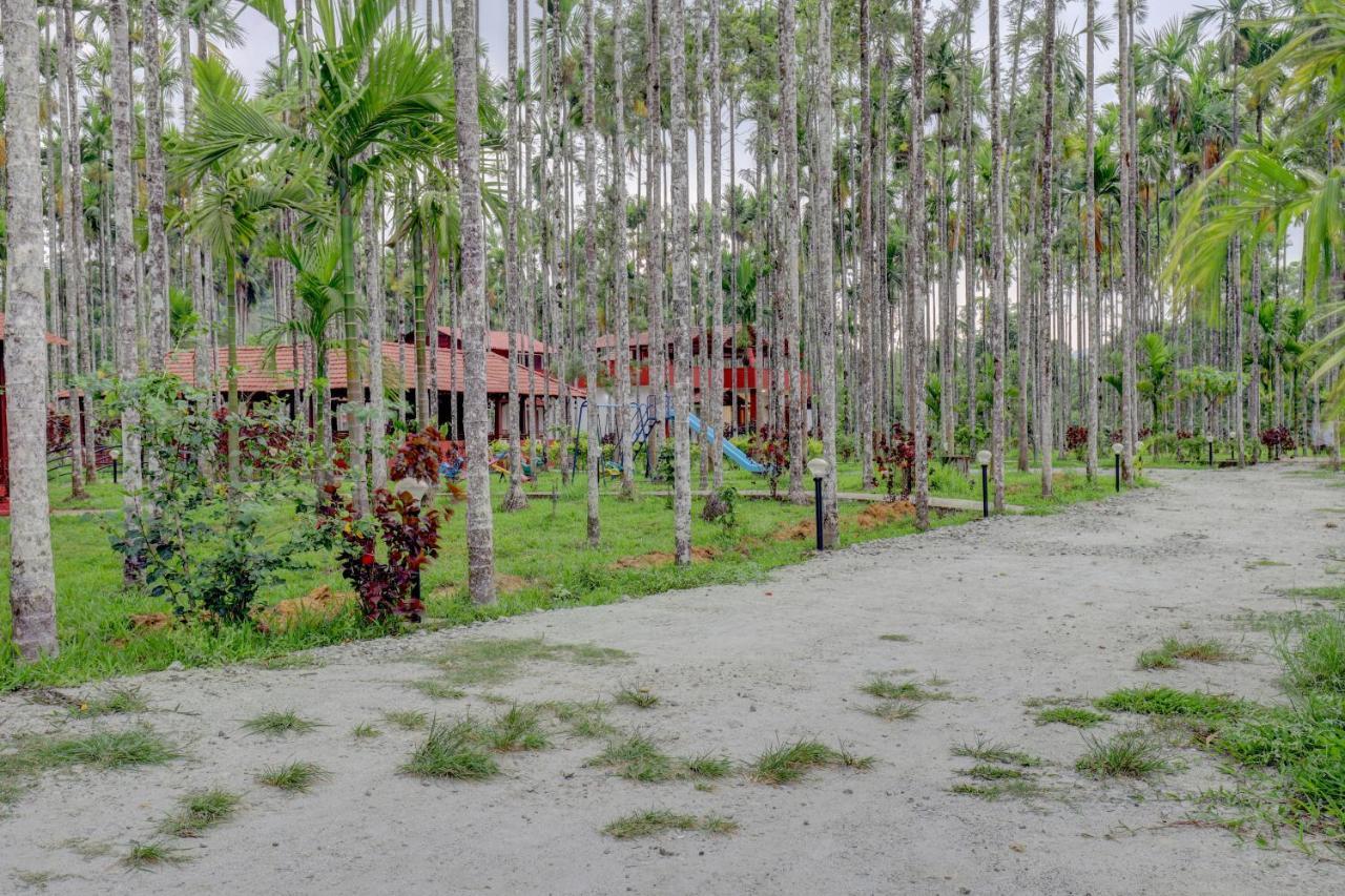 Ezzenza Areca Resort マディケーリ エクステリア 写真